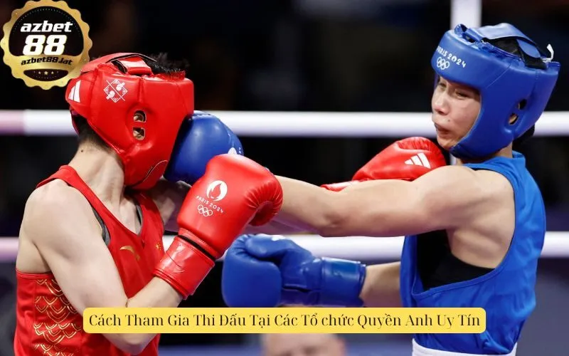 Cách Tham Gia Thi Đấu Tại Các Tổ chức Quyền Anh Uy Tín