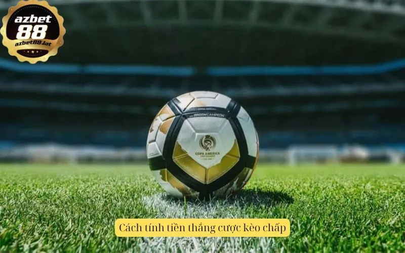 Cách tính tiền thắng cược kèo chấp