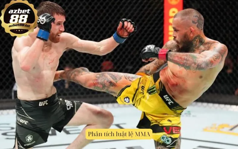 Phân tích luật lệ MMA