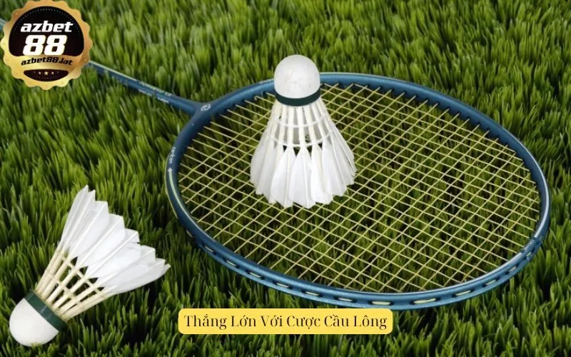 Thắng Lớn Với Cược Cầu Lông